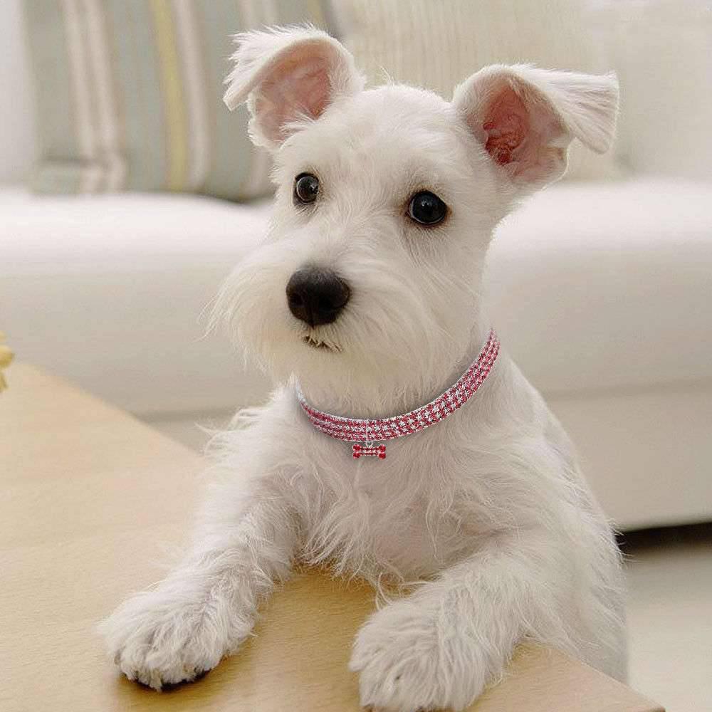 Bling Rhinestone Dog Collar Crystal Puppy Chihuahua Pet Dog Collars Leash For Small Medium Dogs Cats - Skippy Dogs