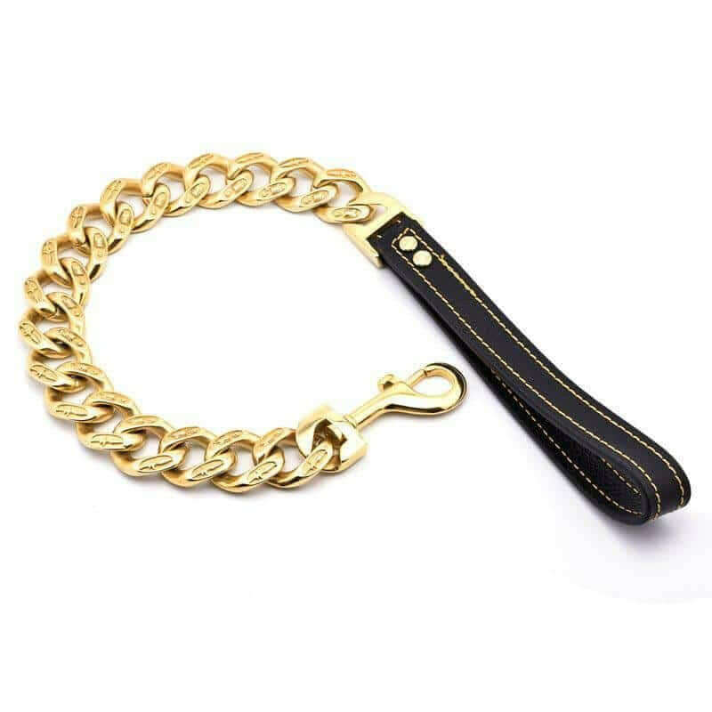 Bully Dog Titanium Stainless Steel Chain Casting Thick Dog Leash.