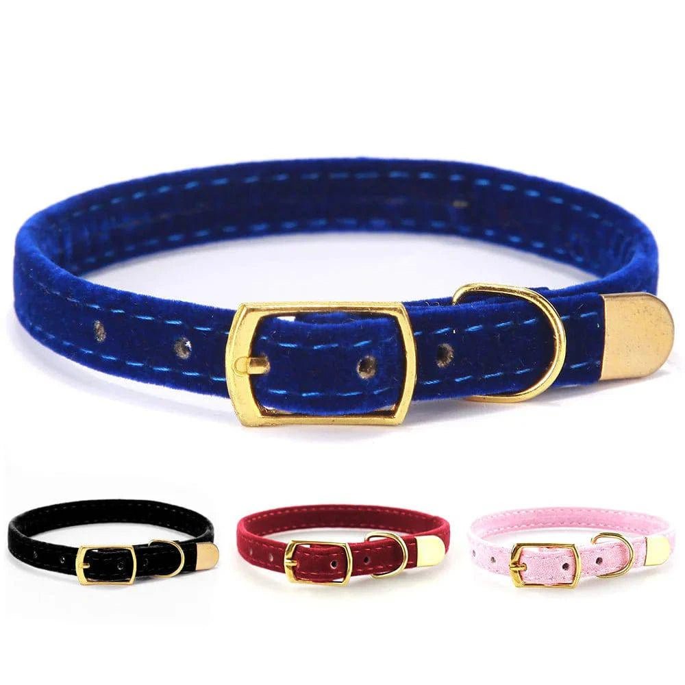 Cat Collar - Skippy Dogs