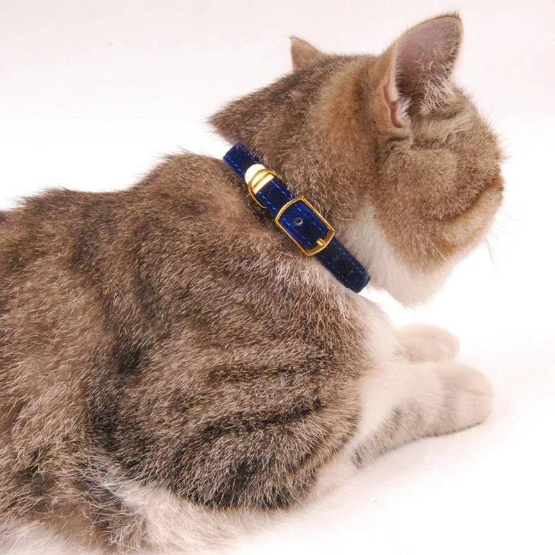 Cat Collar - Skippy Dogs