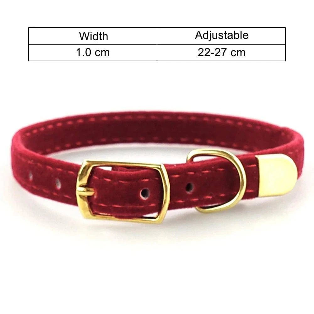 Cat Collar - Skippy Dogs