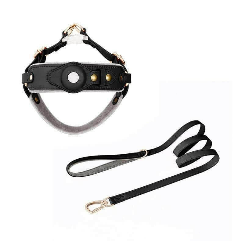 Chest Back Airtag Positioning With Dog Traction Rope.
