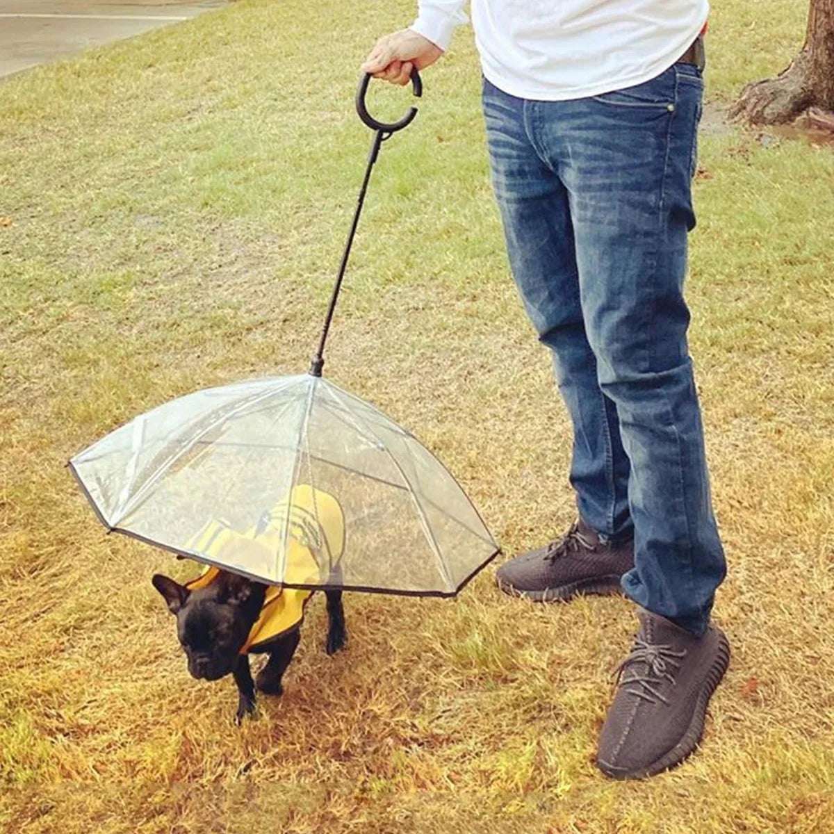 Dog Umbrella - Skippy Dogs