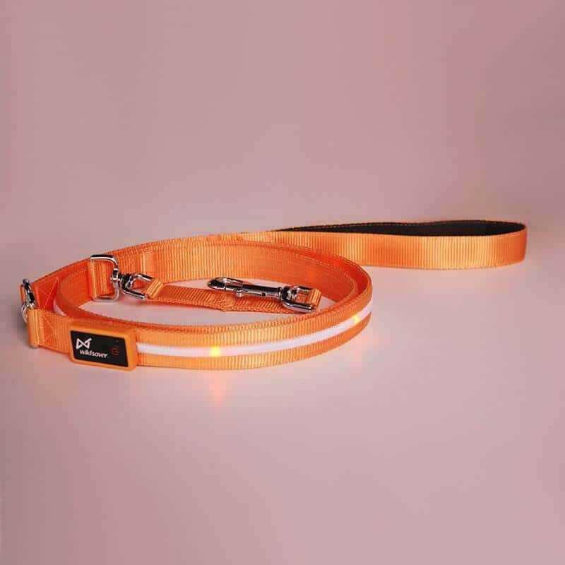 LED Pet Leash: Brighten Your Walks!.