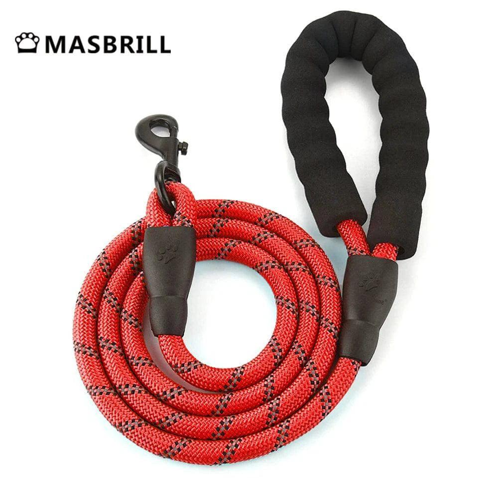 No - Pull 4 - In - 1 Dog Harness - Skippy Dogs