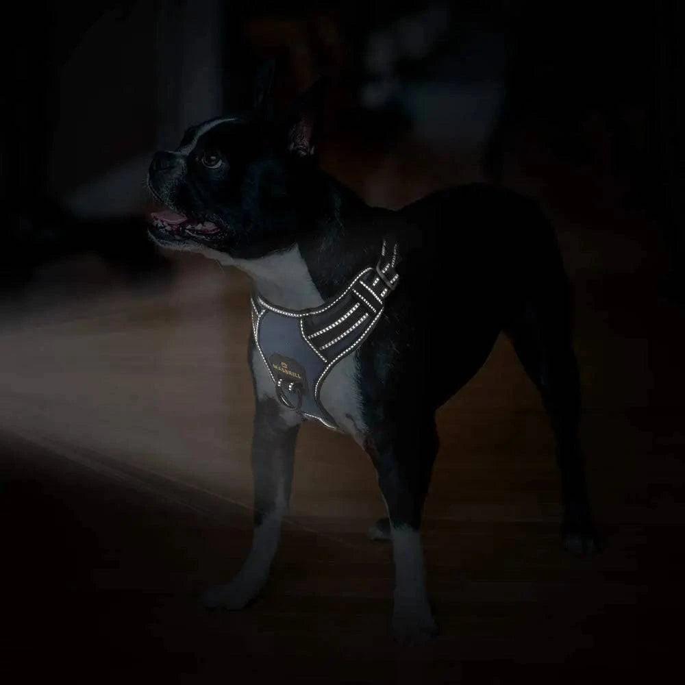 No - Pull 4 - In - 1 Dog Harness - Skippy Dogs