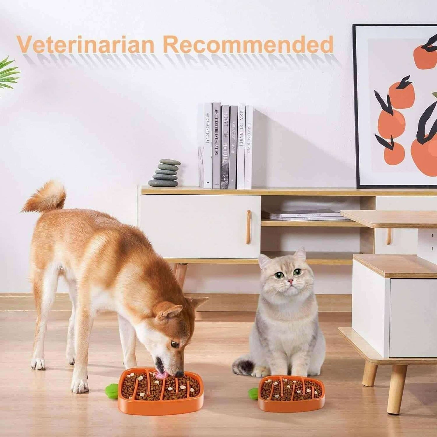 Slow Feeder Dog Bowl, Dog Food Bowl For Small & Medium-Sized Dogs.