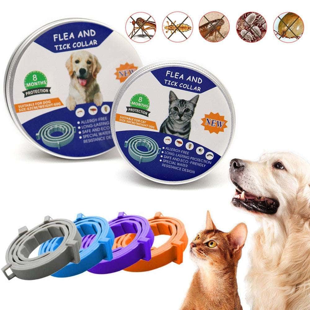 Two(2): 8 - Month Flea, Tick, and Mosquito Protection Silicone Collar for Dogs and Cats - Skippy Dogs