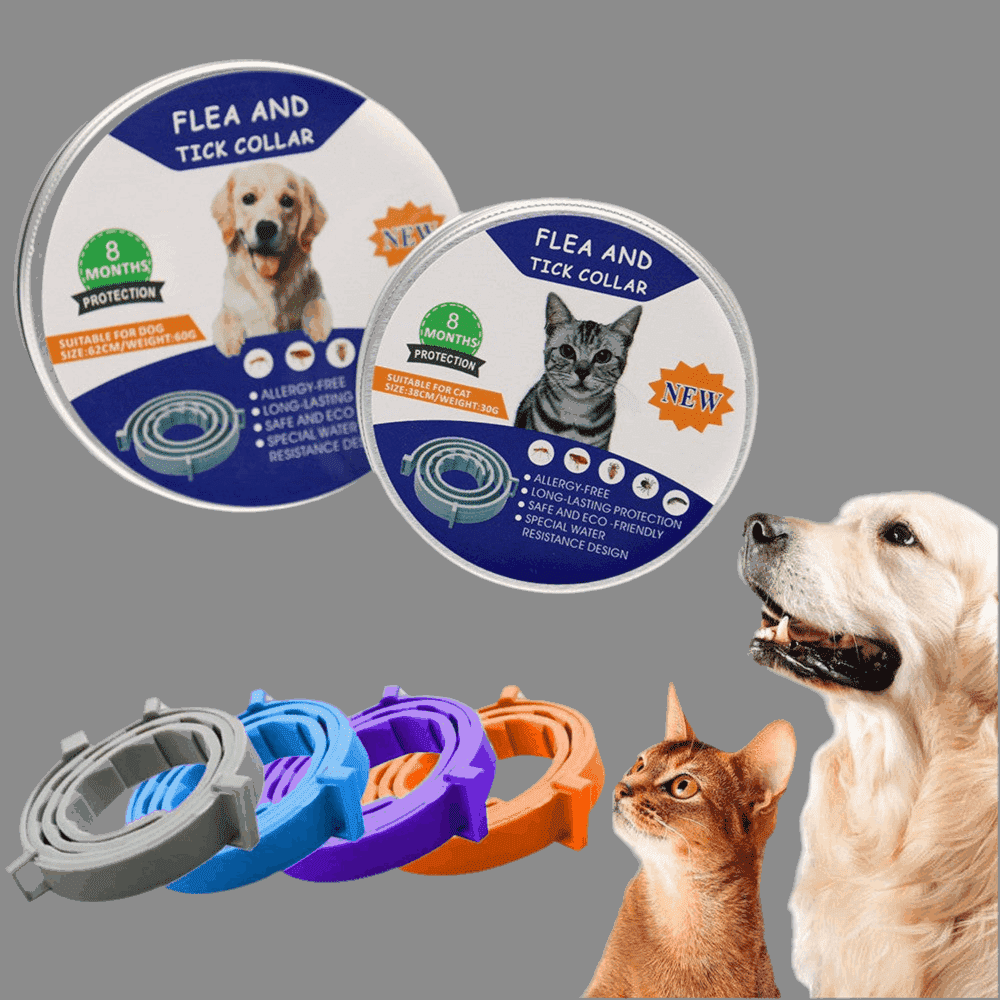 Two(2): 8 - Month Flea, Tick, and Mosquito Protection Silicone Collar for Dogs and Cats - Skippy Dogs