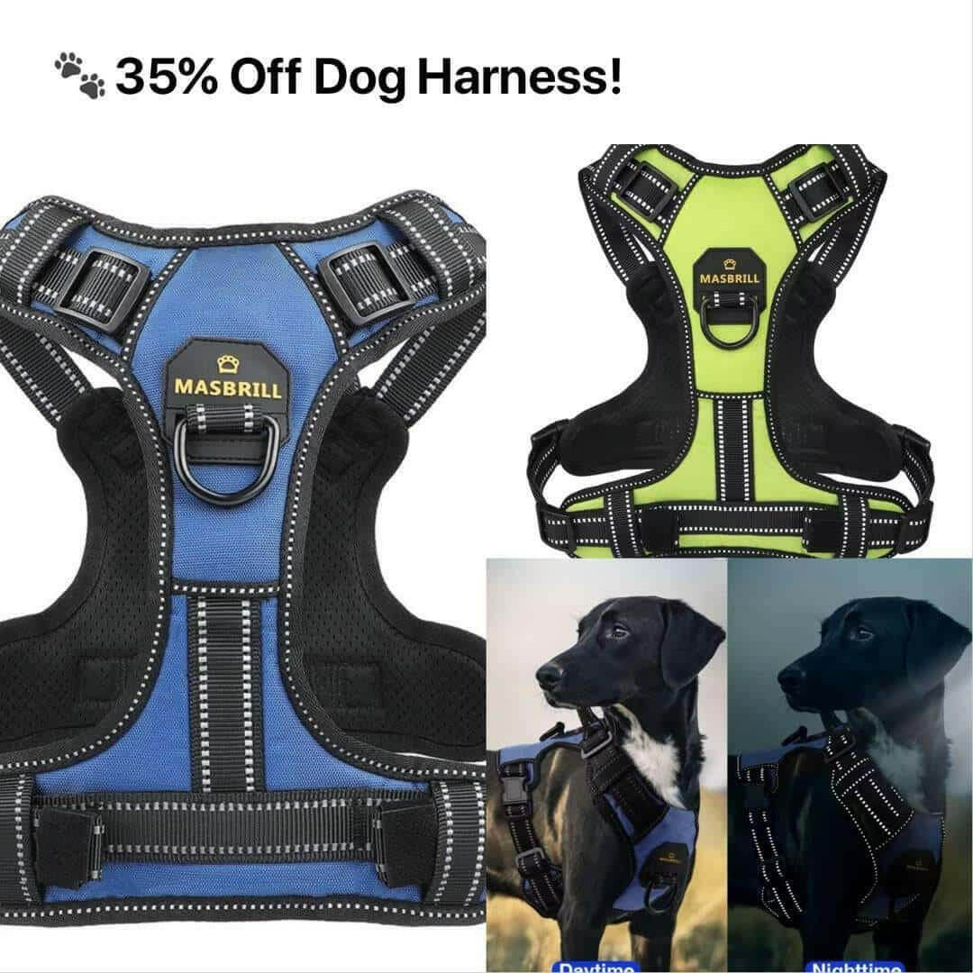 Dog harness sale promotion with two styles featured. 🐶✨ How to Choose the Right Dog Harness for Your Pup.