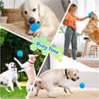 Various dogs playing with blue balls indoors; Essential Indoor Safety Tips for Pet Owners.