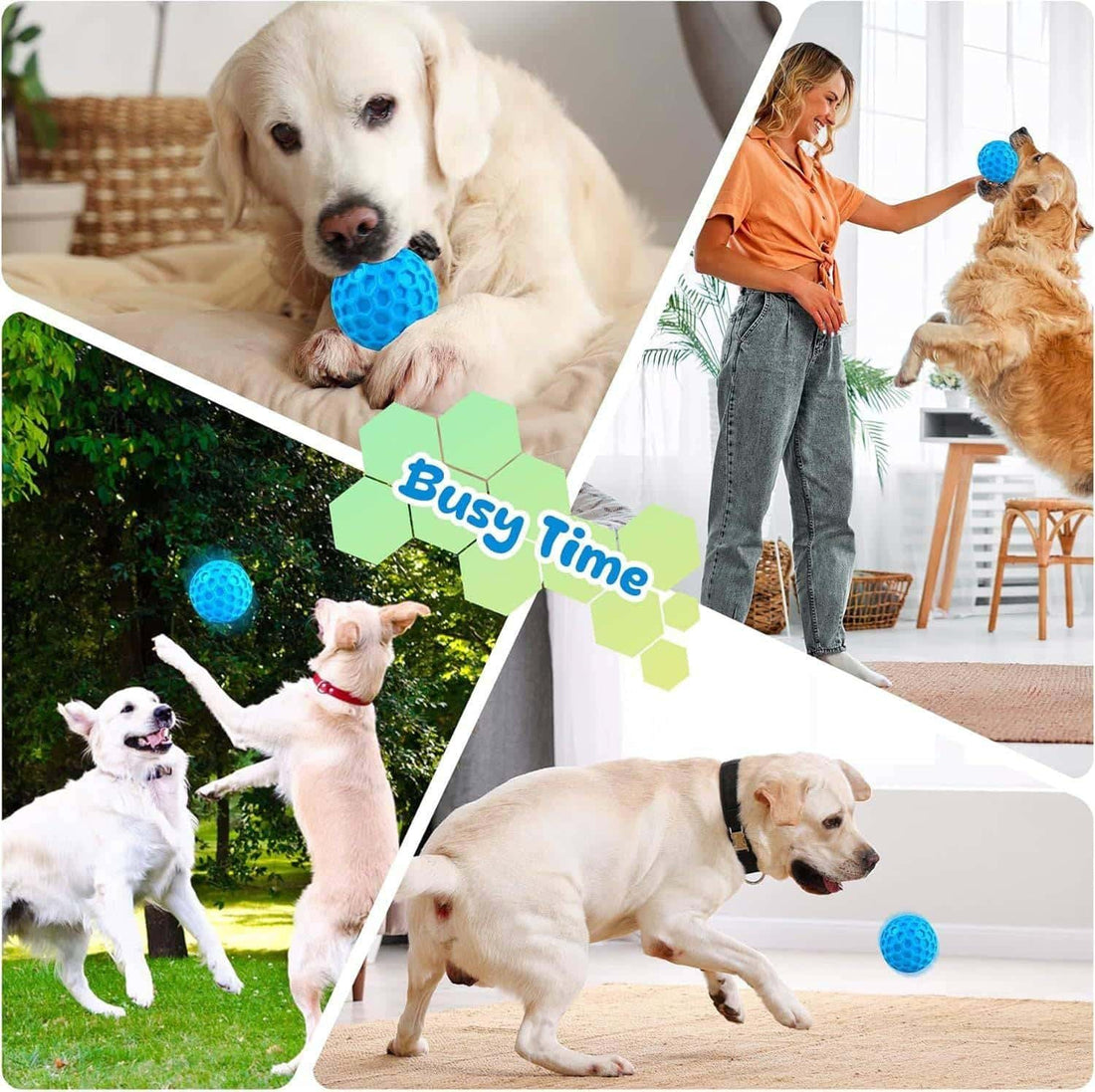 Dogs playing with balls to illustrate 'Stimulation: How much does your dog need?' in various settings.
