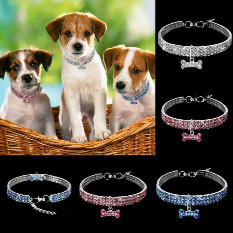 Rhinestone Dog Collar w/ Crystal Bling.
