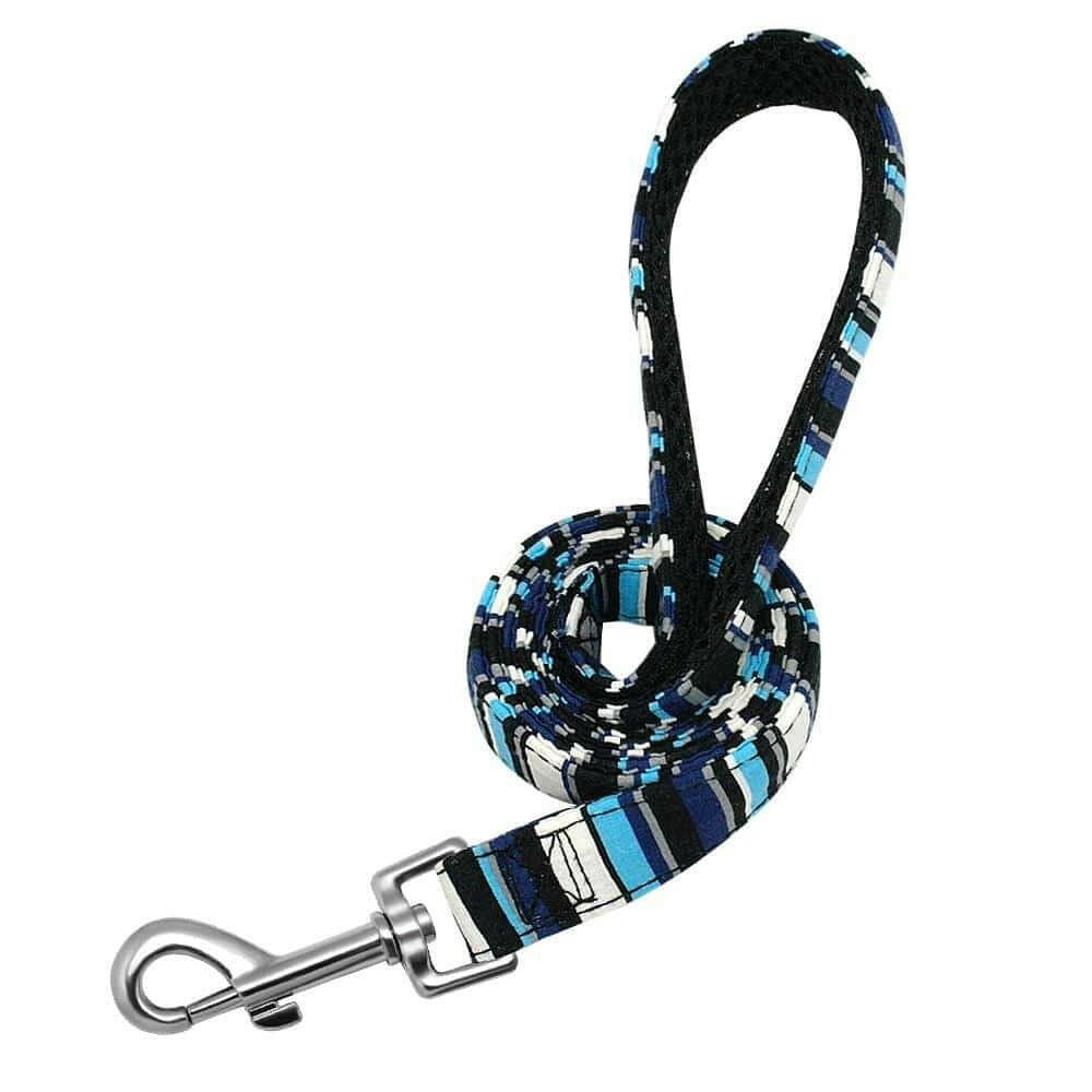 Small Large Dog Traction Rope Collar Bell Dog Tag Custom.