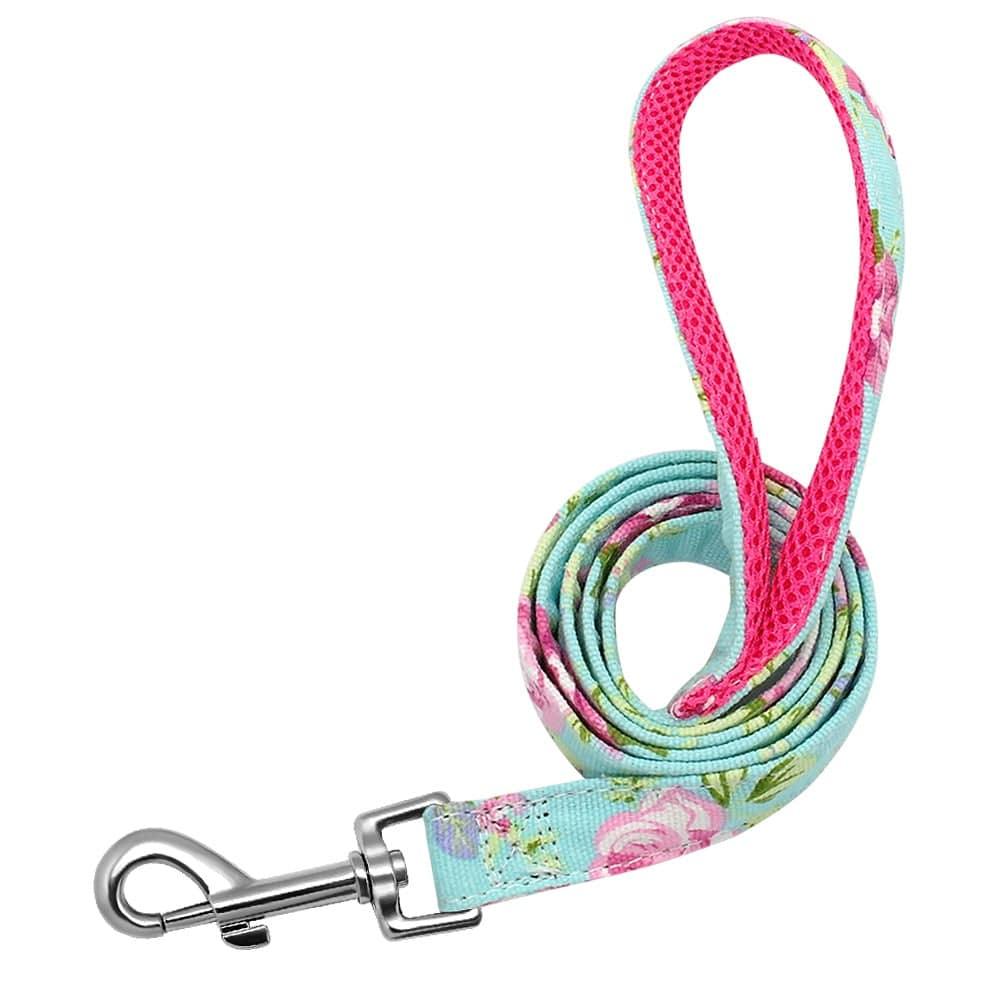 Cat Dog Collar Collar Lettering Anti - lost Tag Small Large Dog Traction Rope Collar Bell Dog Tag Custom - Skippy Dogs
