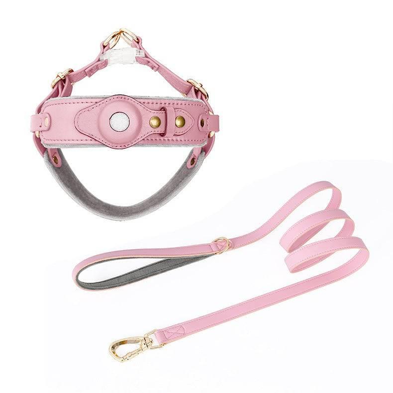 Chest Back Airtag Positioning With Dog Traction Rope - Skippy Dogs