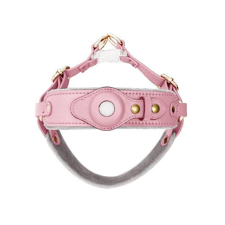 Chest Back Airtag Positioning With Dog Traction Rope - Skippy Dogs