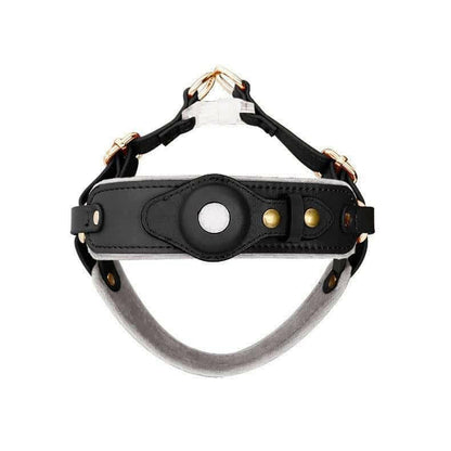 Chest Back Airtag Positioning With Dog Traction Rope.