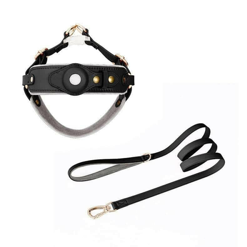 Chest Back Airtag Positioning With Dog Traction Rope.
