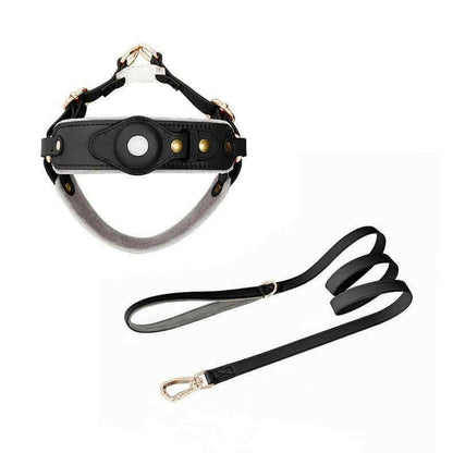 Chest Back Airtag Positioning With Dog Traction Rope.