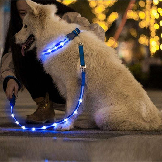 Creative LED USB Charging Luminous Pet Leash - Skippy Dogs