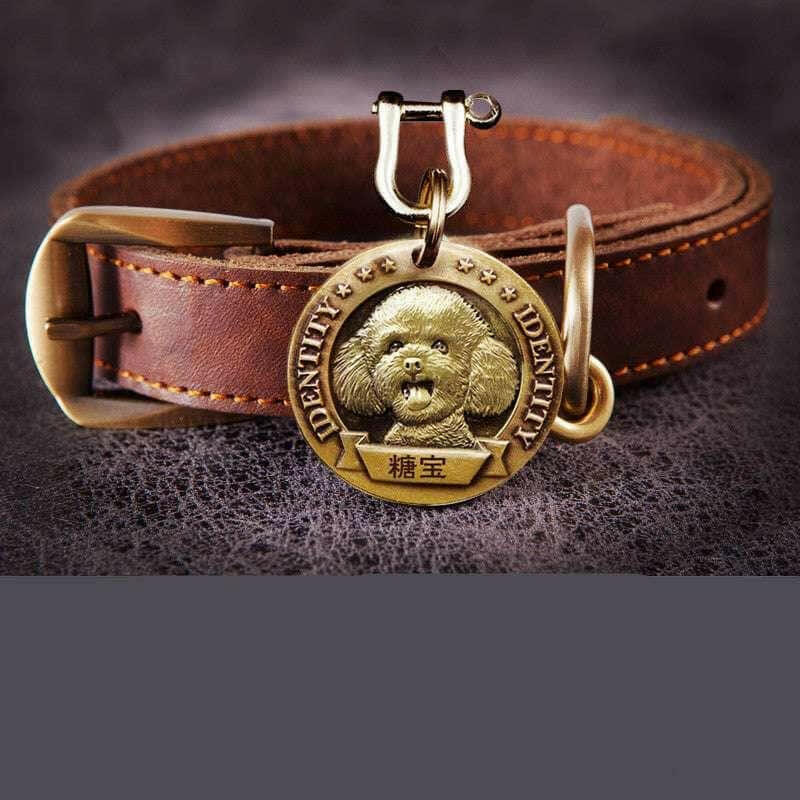 Customized Dog Collar Anti-lost Dog Tag Identity Tag.