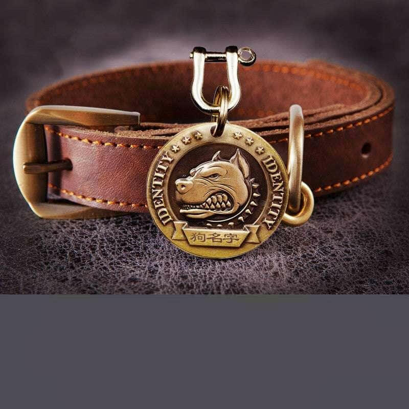 Customized Dog Collar Anti-lost Dog Tag Identity Tag.