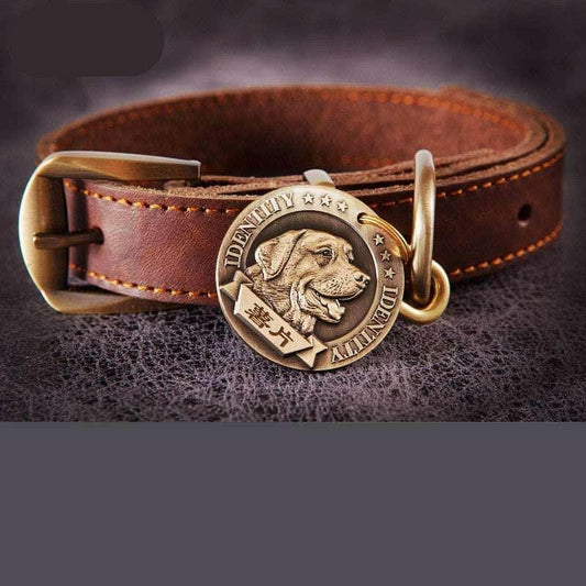 Customized Dog Collar Anti-lost Dog Tag Identity Tag.