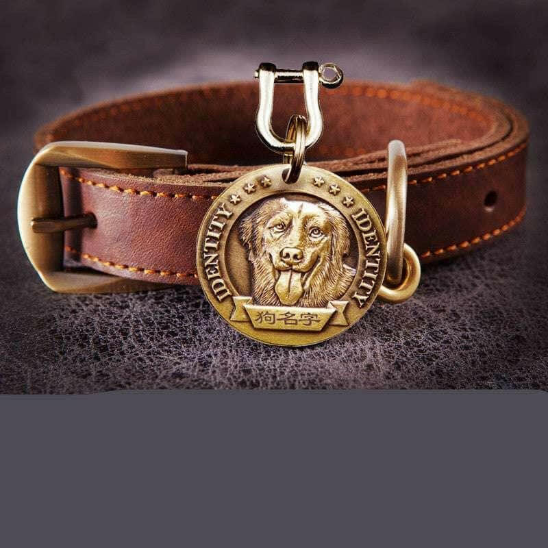 Customized Dog Collar Anti-lost Dog Tag Identity Tag.