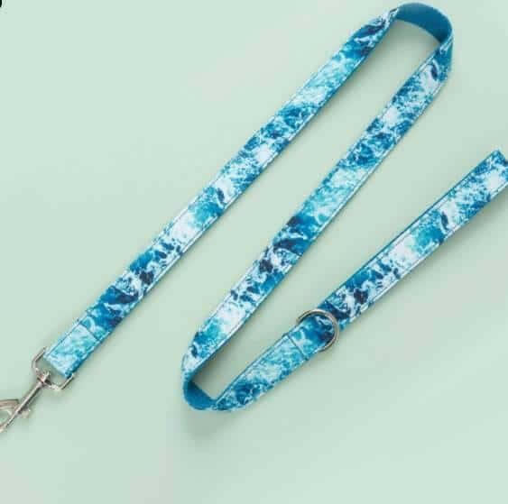Dog Collar Traction Rope Set.