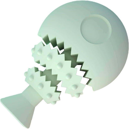 Dog Leak Food Fish Bone Shaped Training Toy.