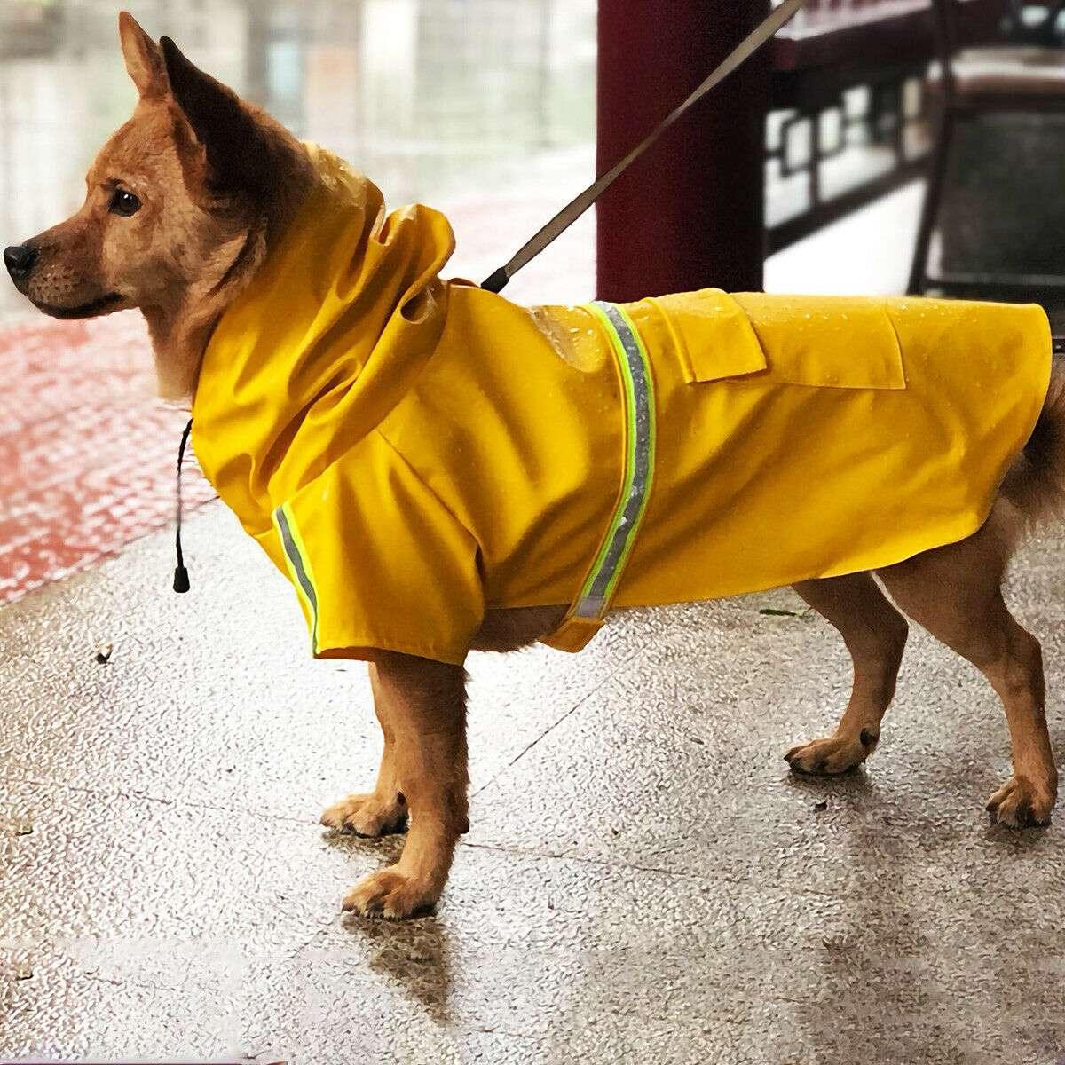 Dog Raincoat,Waterproof Dog Rain Jacket With Safety Reflective Stripe,Hooded Slicker Dachshund Doggy Dog Poncho With Leash For Dogs And Puppies - Skippy Dogs