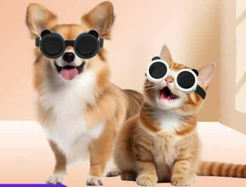 Dog Sun Sunshade Sunglasses Goggles Cat Pet Supplies.