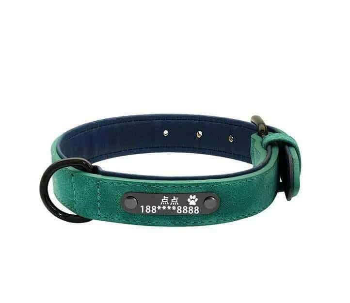 Dog Tag Identity Card Customization.