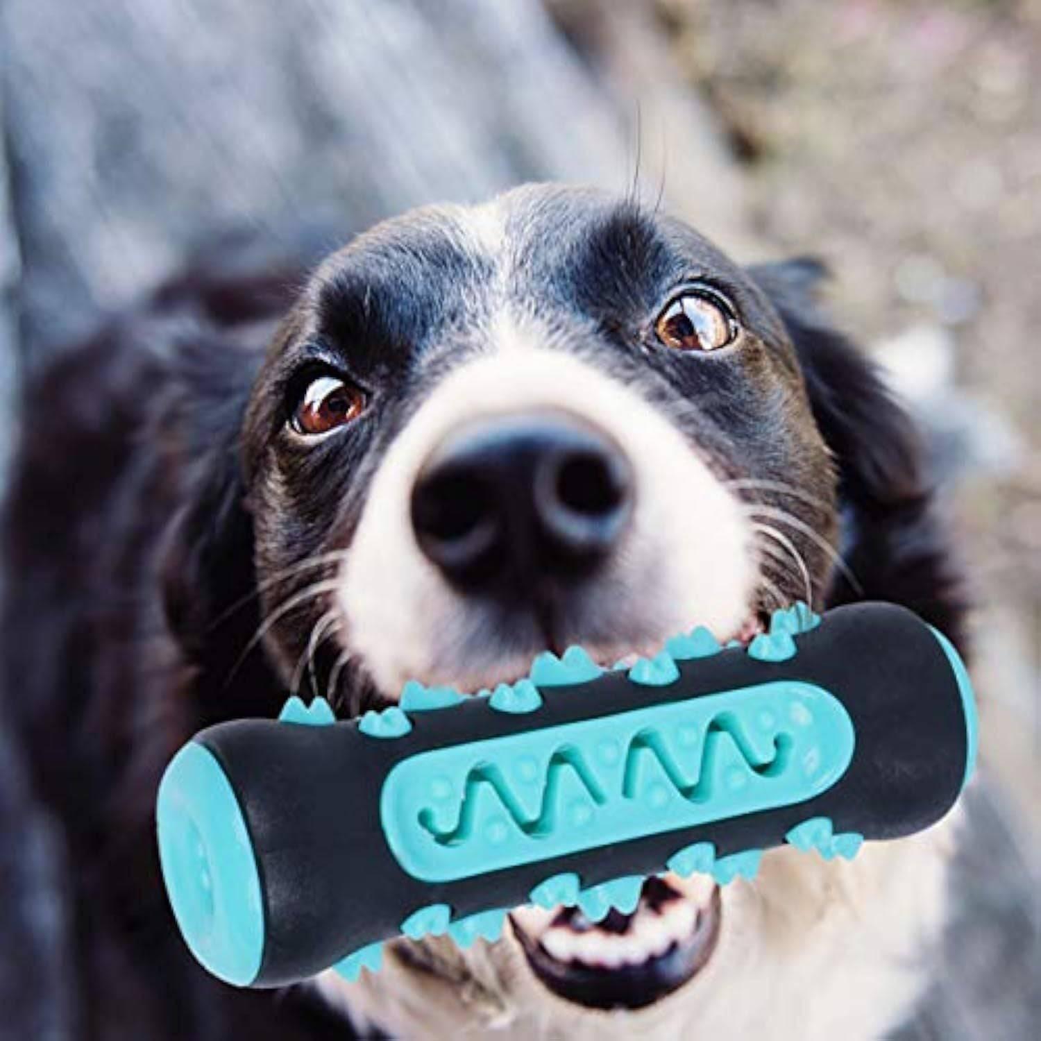 Dog Toothbrush Chew Toy Puppy Dog Teeth Cleaning Stick Natural Rubber Dental Teether Molar Toys For Dog Pets - Skippy Dogs