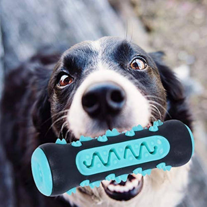 Dog Toothbrush Chew Toy Puppy Dog Teeth Cleaning Stick Natural Rubber Dental Teether Molar Toys For Dog Pets - Skippy Dogs