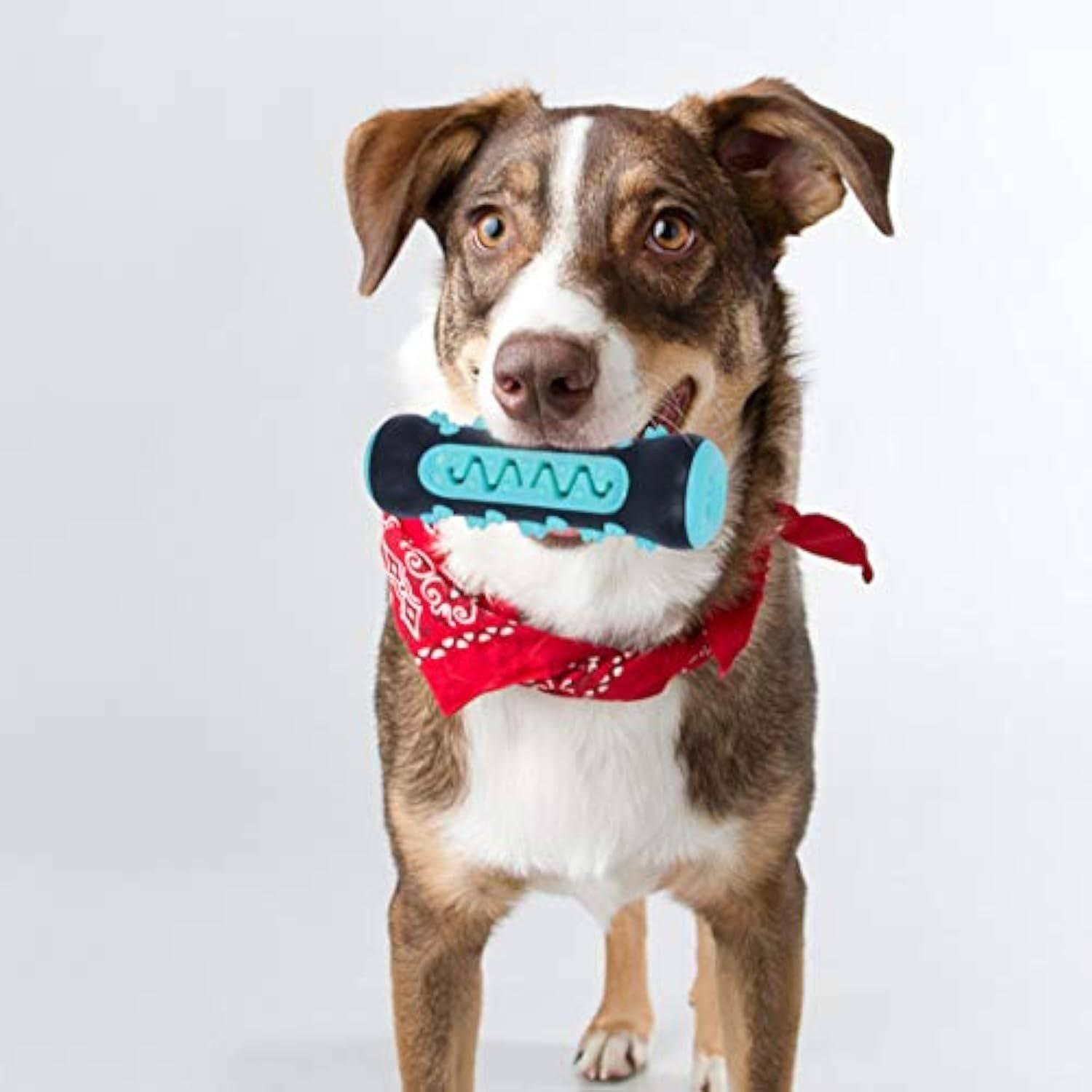 Dog Toothbrush Chew Toy Puppy Dog Teeth Cleaning Stick Natural Rubber Dental Teether Molar Toys For Dog Pets - Skippy Dogs