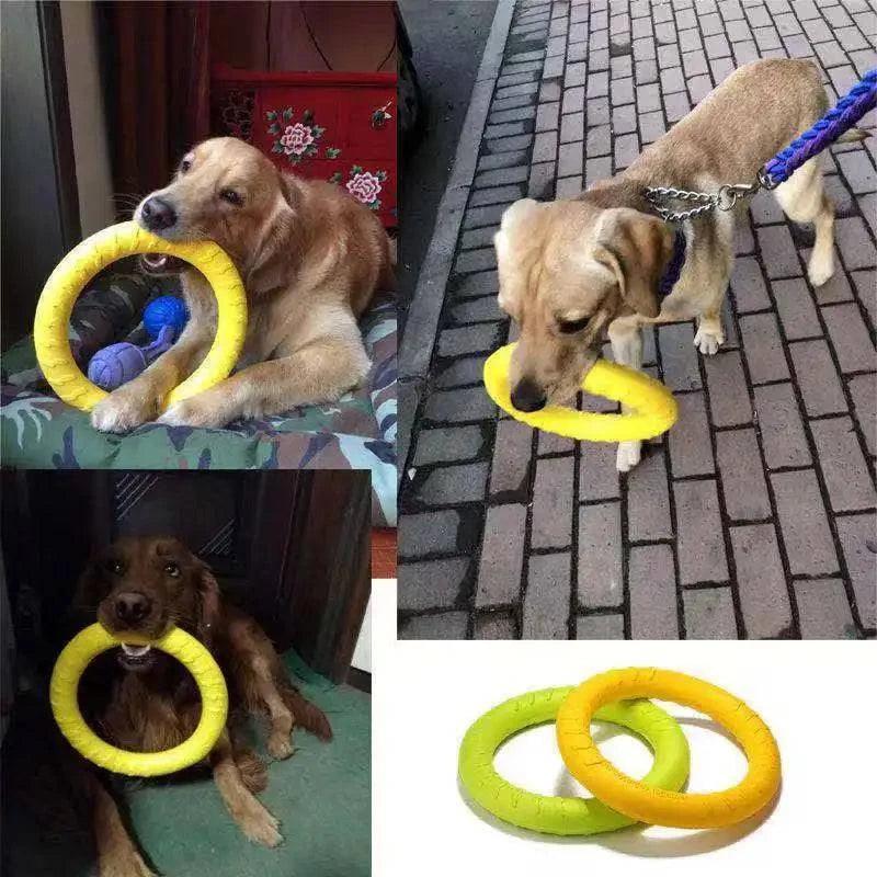 Dog Toys Pet Flying Disk Training Ring Puller Anti - Bite Floating Interactive Supplies Dog Toys Aggressive Chewing - Skippy Dogs