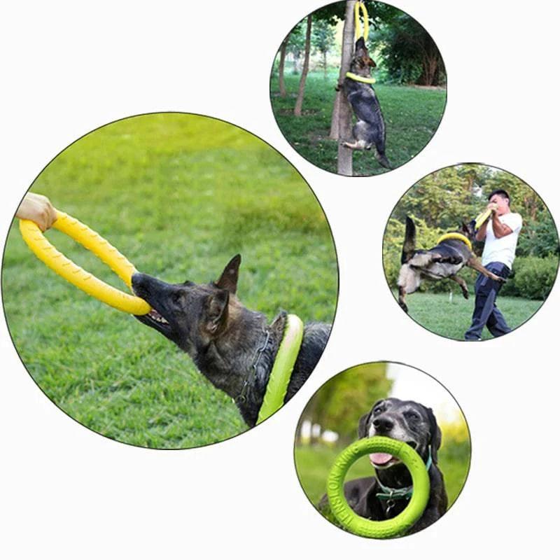 Dog Toys Pet Flying Disk Training Ring Puller Anti - Bite Floating Interactive Supplies Dog Toys Aggressive Chewing - Skippy Dogs