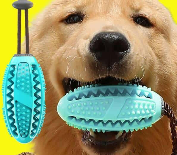 Dog Toys Silicon Suction Cup Tug A War Toy.