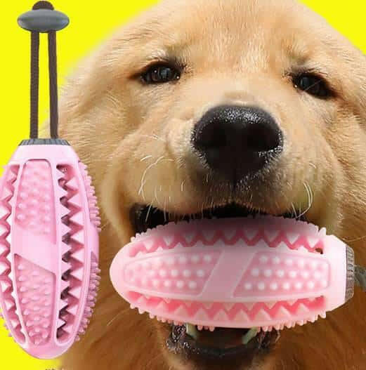 Dog Toys Silicon Suction Cup Tug A War Toy.