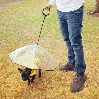 Dog Umbrella.