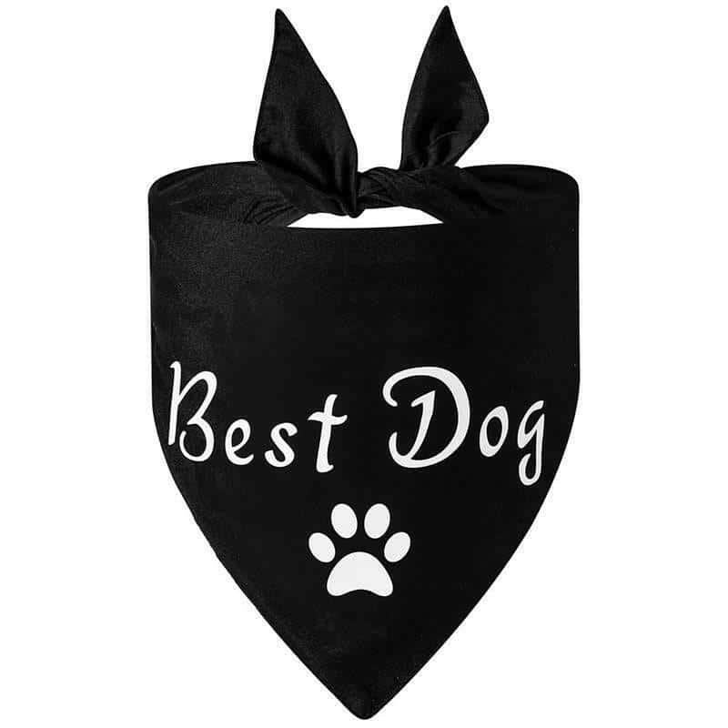 Dog Wedding Bandana My Humans Are Getting Married She Said.