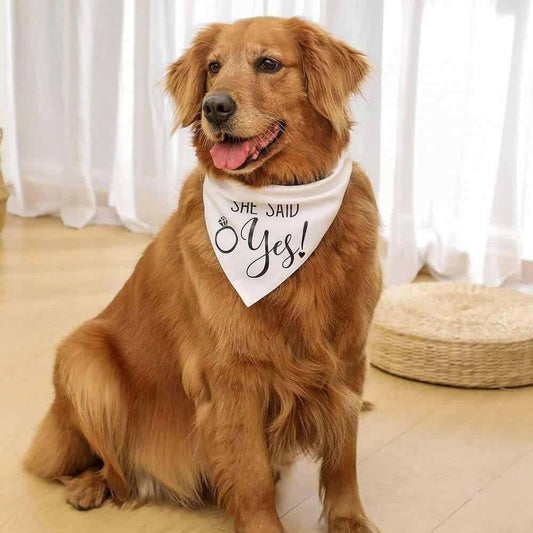 Dog Wedding Bandana My Humans Are Getting Married She Said.