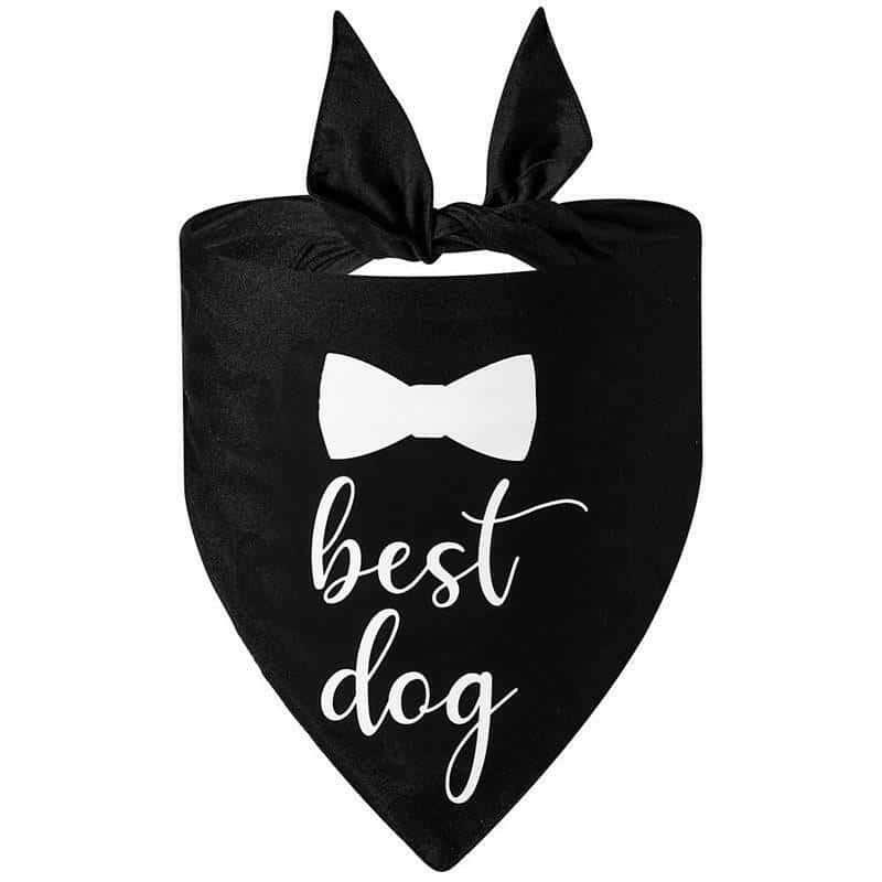 Dog Wedding Bandana My Humans Are Getting Married She Said.