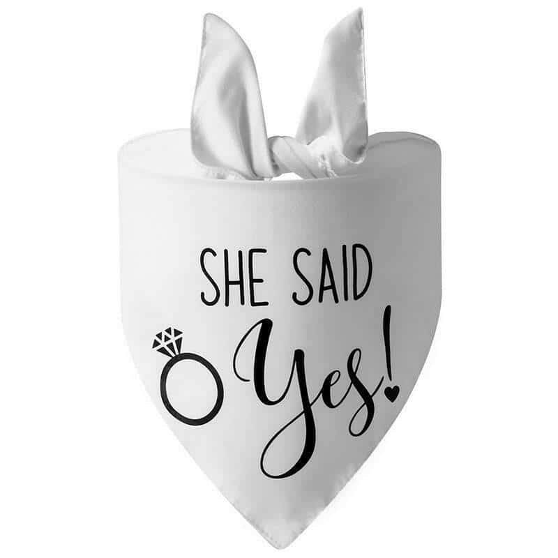 Dog Wedding Bandana My Humans Are Getting Married She Said.