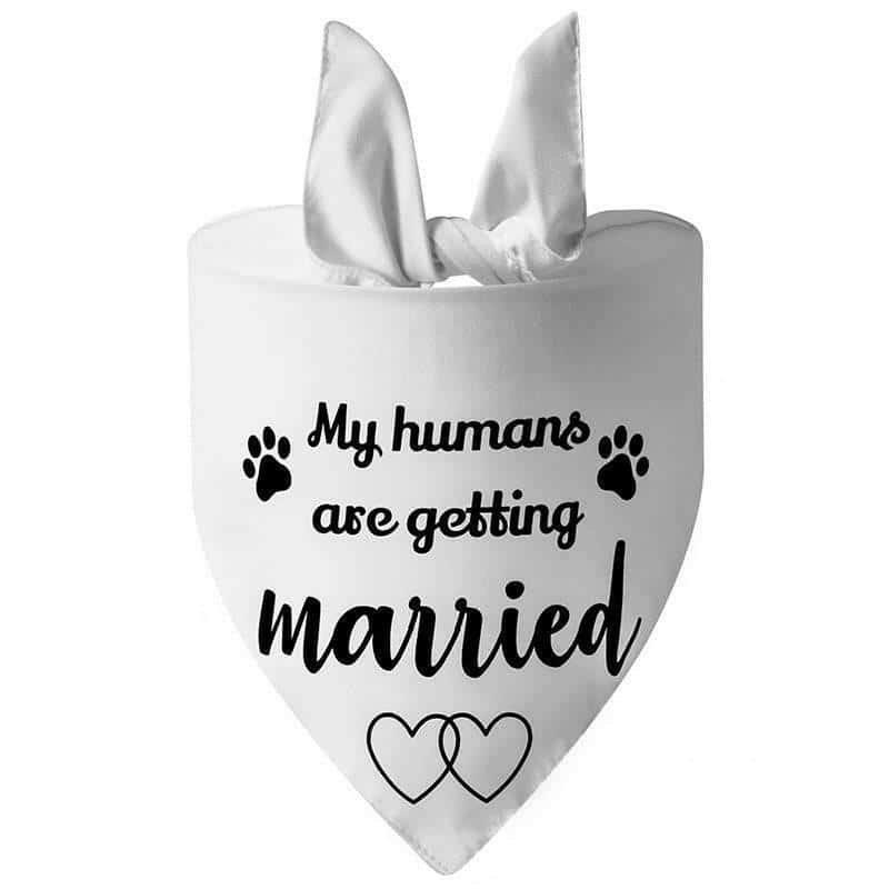 Dog Wedding Bandana My Humans Are Getting Married She Said.