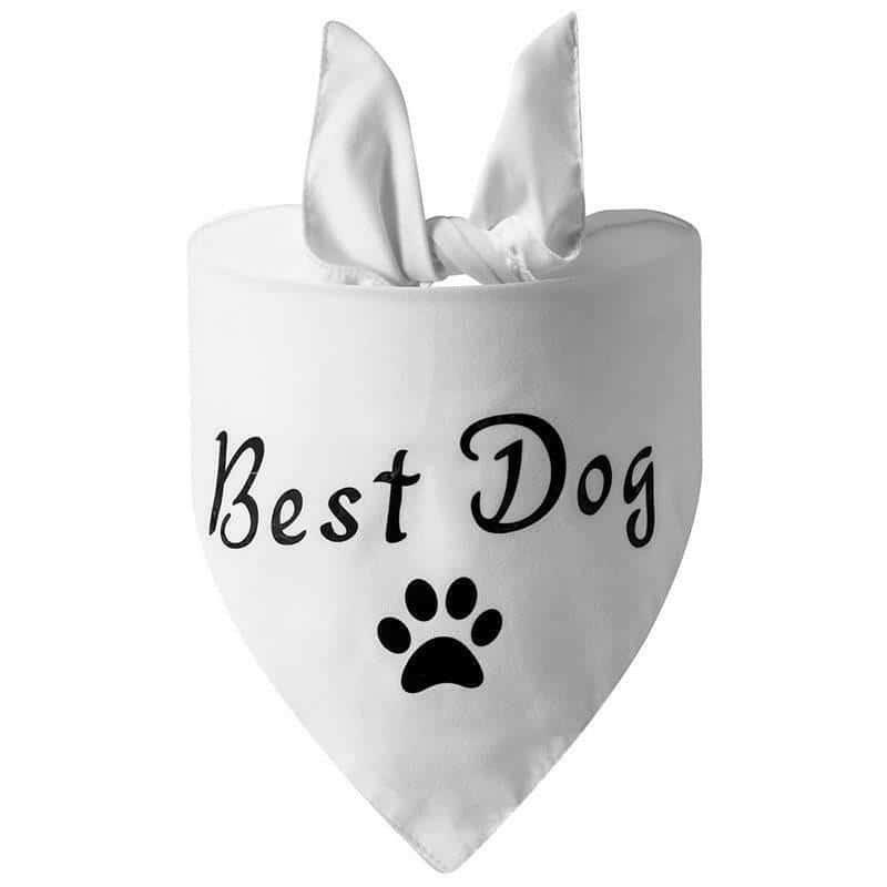 Dog Wedding Bandana My Humans Are Getting Married She Said.