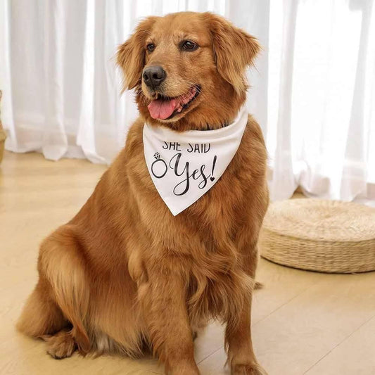 Dog Wedding Bandana My Humans Are Getting Married She Said - Skippy Dogs