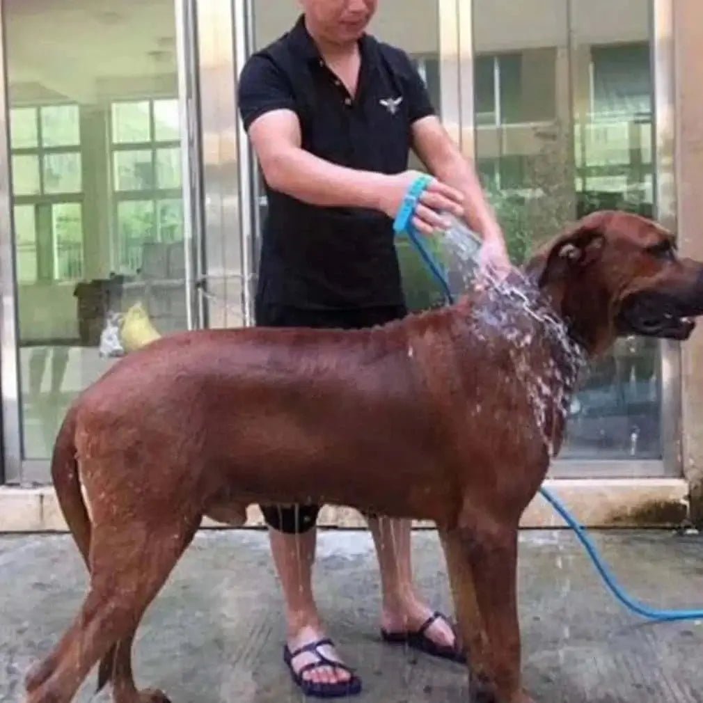 Dogs Cats Massager Shower.